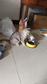 普安特次氯酸消毒液宠物猫咪狗狗除臭杀菌消毒喷雾猫砂去尿味消毒水喷剂 实拍图