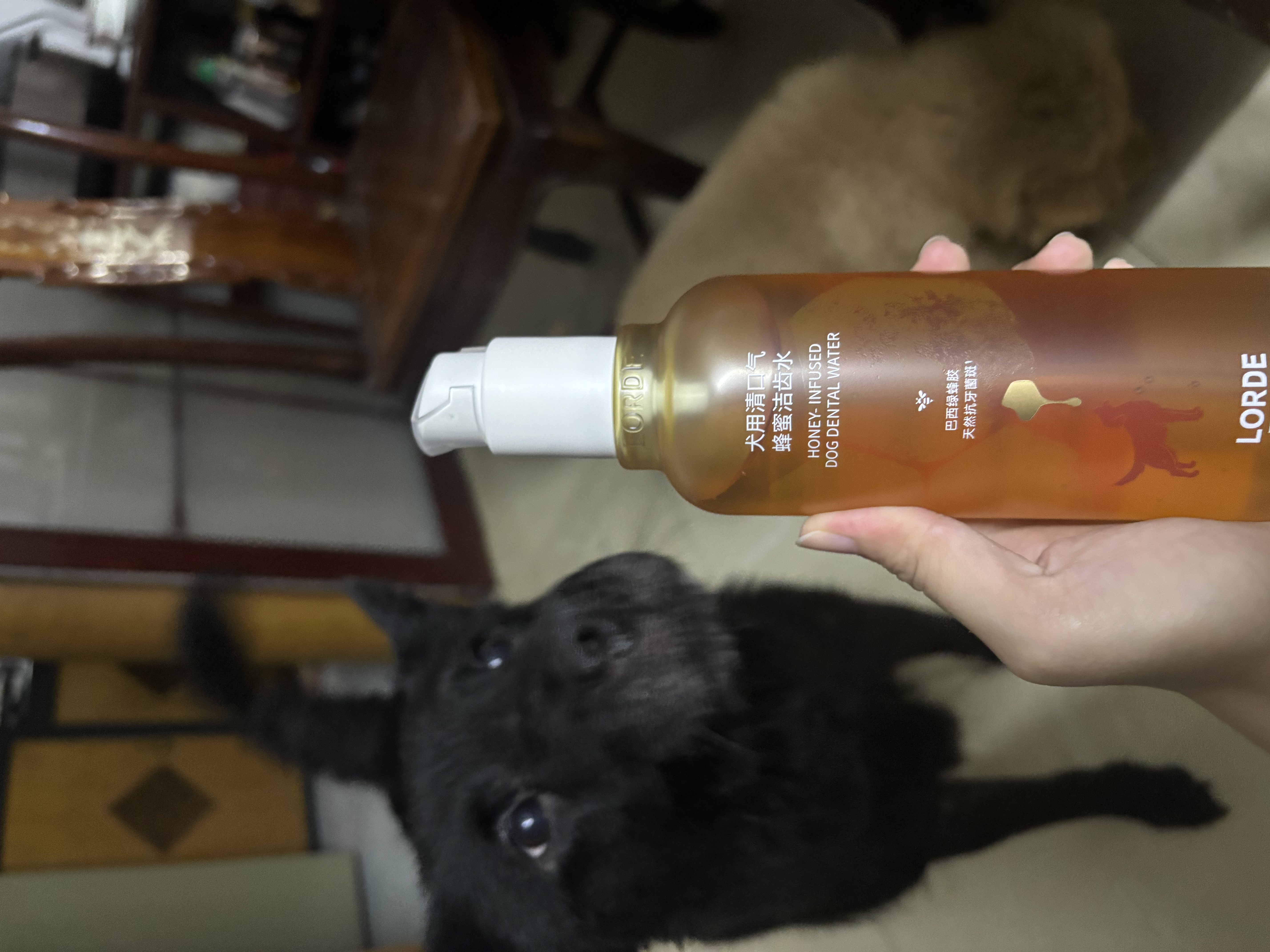 lorde里兜蜂蜜犬用狗狗漱口水洁齿水无需牙刷防牙结石改善口臭300ml 实拍图