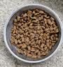 艾尔猫粮成猫幼年猫粮 牛肉鲑鱼2.5kg5斤 实拍图