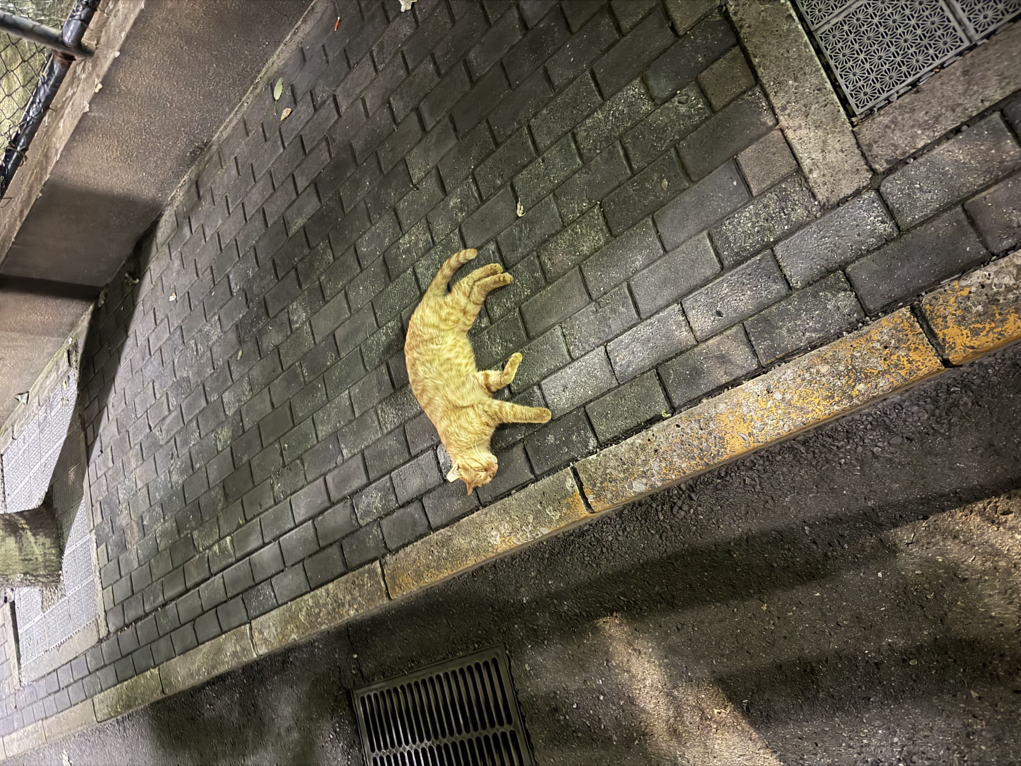 京东京造迷你筋膜枪SE2 AI调档深层肌肉放松筋膜按摩器腰腿全身小腿按摩仪生日礼物送长辈父母男女友 实拍图