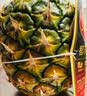 都乐Dole 进口无冠金菠萝 2只装 金菠萝 单果800g+ 实拍图