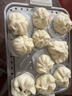 扬子（YANGZI）绞肉机家用绞馅机多功能料理机和面机智能新款纯铜电机6叶钢刀和面一体机【抖音升级款】5升 J-015 实拍图