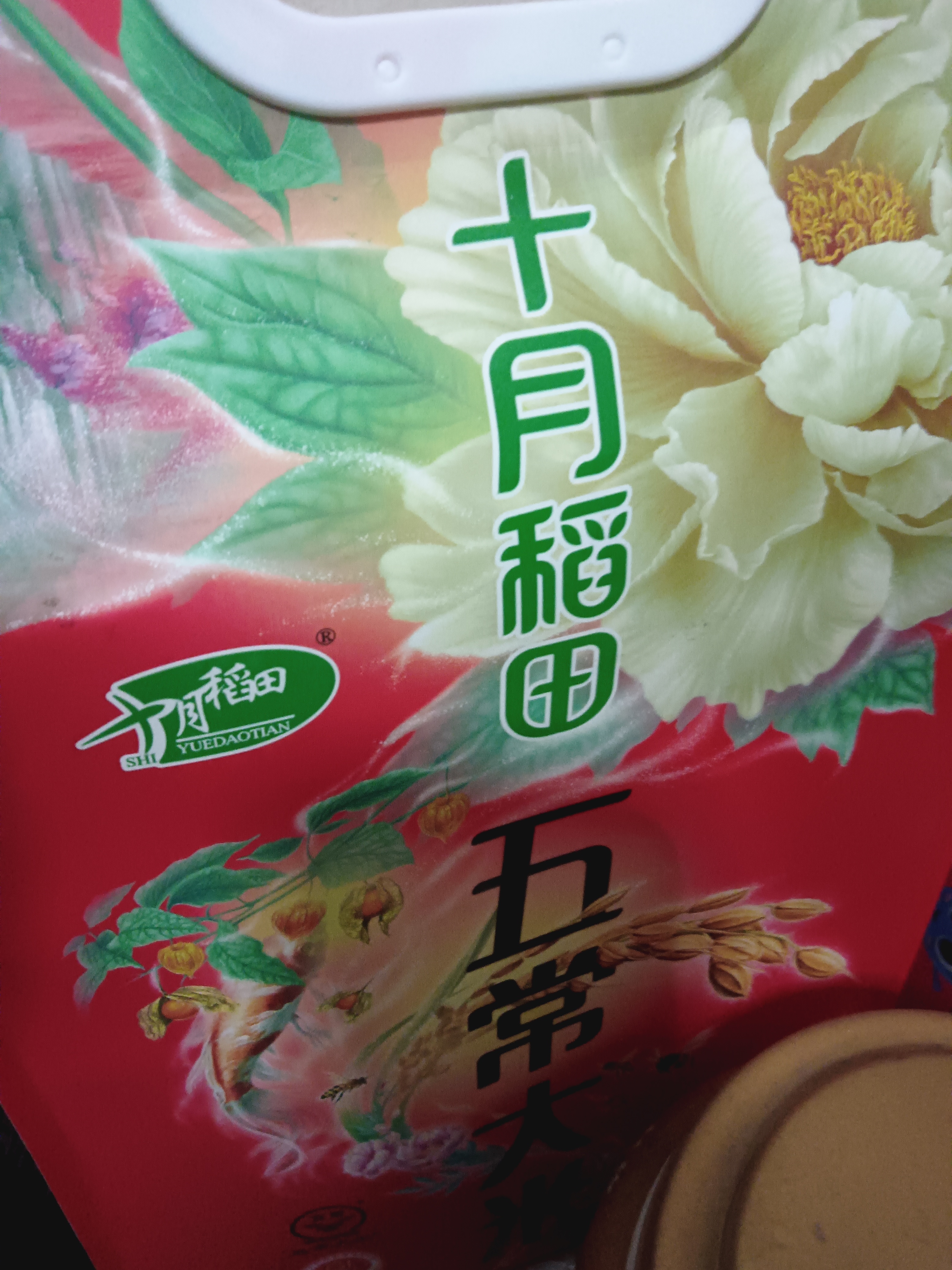 十月稻田 五常大米 5斤（东北大米 五常稻香米 2.5kg/公斤） 实拍图