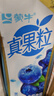 蒙牛真果粒蓝莓味牛奶饮品250g*12盒 礼盒新老包装 含乳饮料送礼礼盒 实拍图