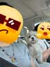 途强宠物gps定位器多功能追踪器猫狗宠物防丢项圈牛羊马猎狗犬防水 实拍图