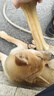 憨憨乐园狗狗磨牙棒宠物狗咬胶狗零食泰迪金毛成犬幼犬专用洁齿骨头10寸 实拍图