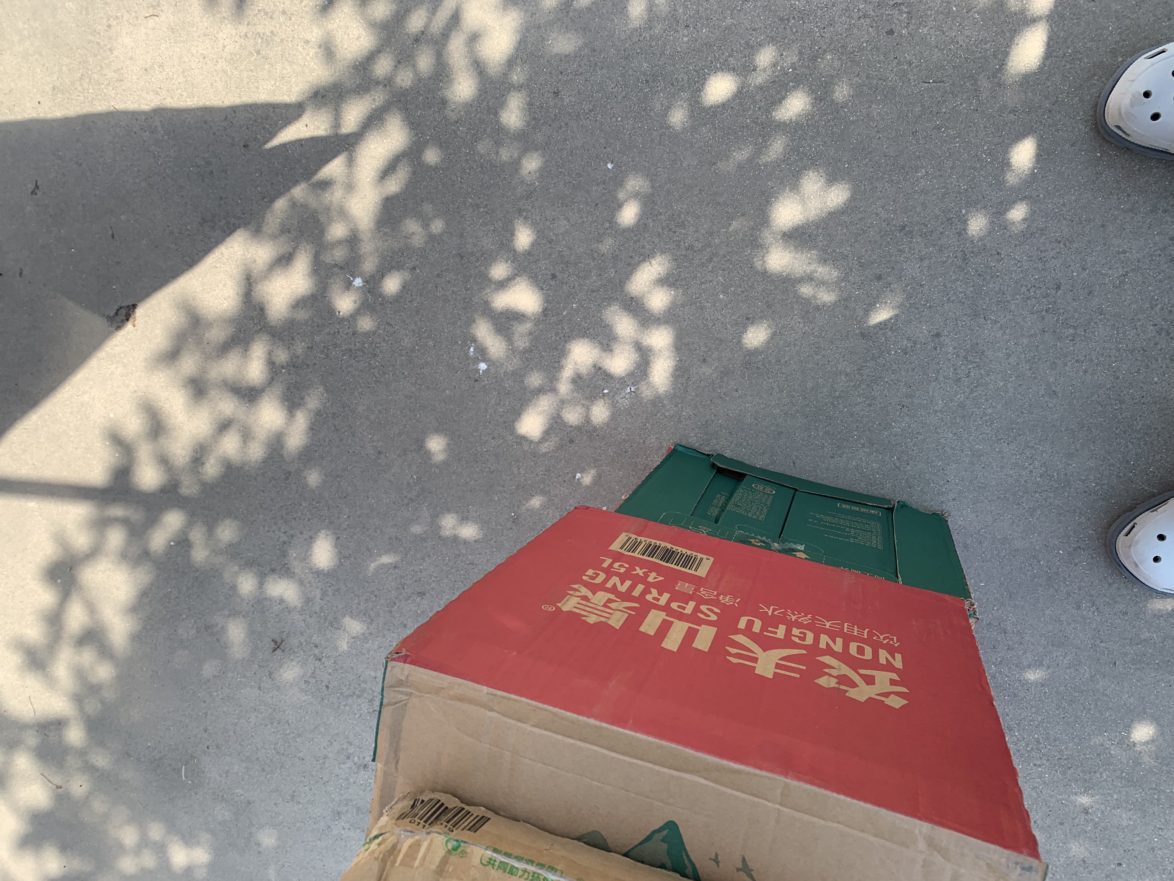 农夫山泉 饮用水 饮用天然水5L*4桶 整箱装 桶装水随机包装 实拍图
