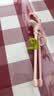 babycare儿童筷子宝宝硅胶训练筷餐具专用筷 恐龙练习筷维尔粉饭盒 实拍图