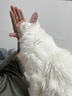 麦富迪猫粮 barf霸弗天然猫粮冻干生骨肉高蛋白成猫粮养胃增肌牛肉5.4kg 实拍图