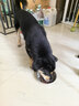 麦富迪狗粮 藻趣儿狗粮成犬粮牛肉螺旋藻 均衡营养15kg/30斤 实拍图