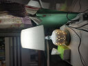 苏柏雪（suboxue） 陶瓷台灯卧室床头灯简约现代创意温馨暖光浪漫家用装饰床头柜灯 型号：127-A 按钮开关（暖光） 实拍图