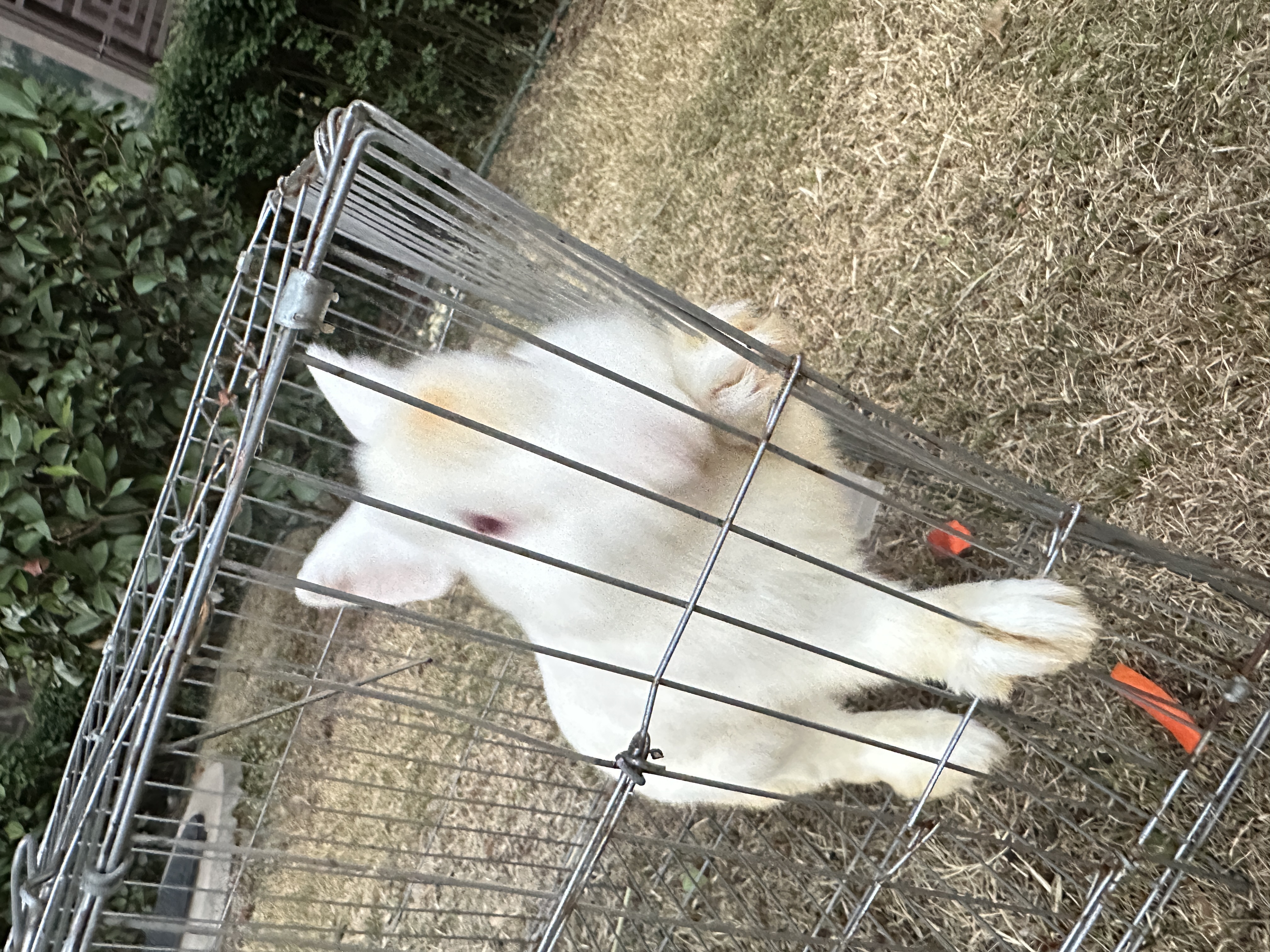 美的（Midea）电风扇落地扇家用大风量 远距离强风送凉电电扇 立式落地风扇家用卧室客厅办公 可选升级2级能效 【白色遥控】7h定时 实拍图