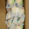 港荣蒸蛋糕奶香900g面包零食饼干西式糕点甜品零食下午茶独立小包装 实拍图