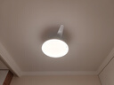 欧普照明（OPPLE）风扇灯42寸全光谱1级能效智控电风扇餐厅厨房卧室空调搭子 冰风 实拍图