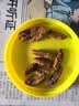 每果时光新货奶香味碧根果仁大碎仁长寿果坚果炒货干果仁烘焙孕妇休闲零食 半斤【大碎肉】奶香250g*1包 实拍图