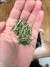 品如故茶叶绿茶黄山毛峰200g新茶安徽明前嫩芽春茶送长辈送领导礼盒 实拍图