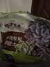 修正花乐多 多肉土专用颗粒土70%多肉营养土铺面石幼苗成株老桩 通用型5斤 实拍图