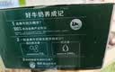 伊利【新鲜日期】金典纯牛奶整箱 200ml*24 3.6g乳蛋白 礼盒装 5月 实拍图