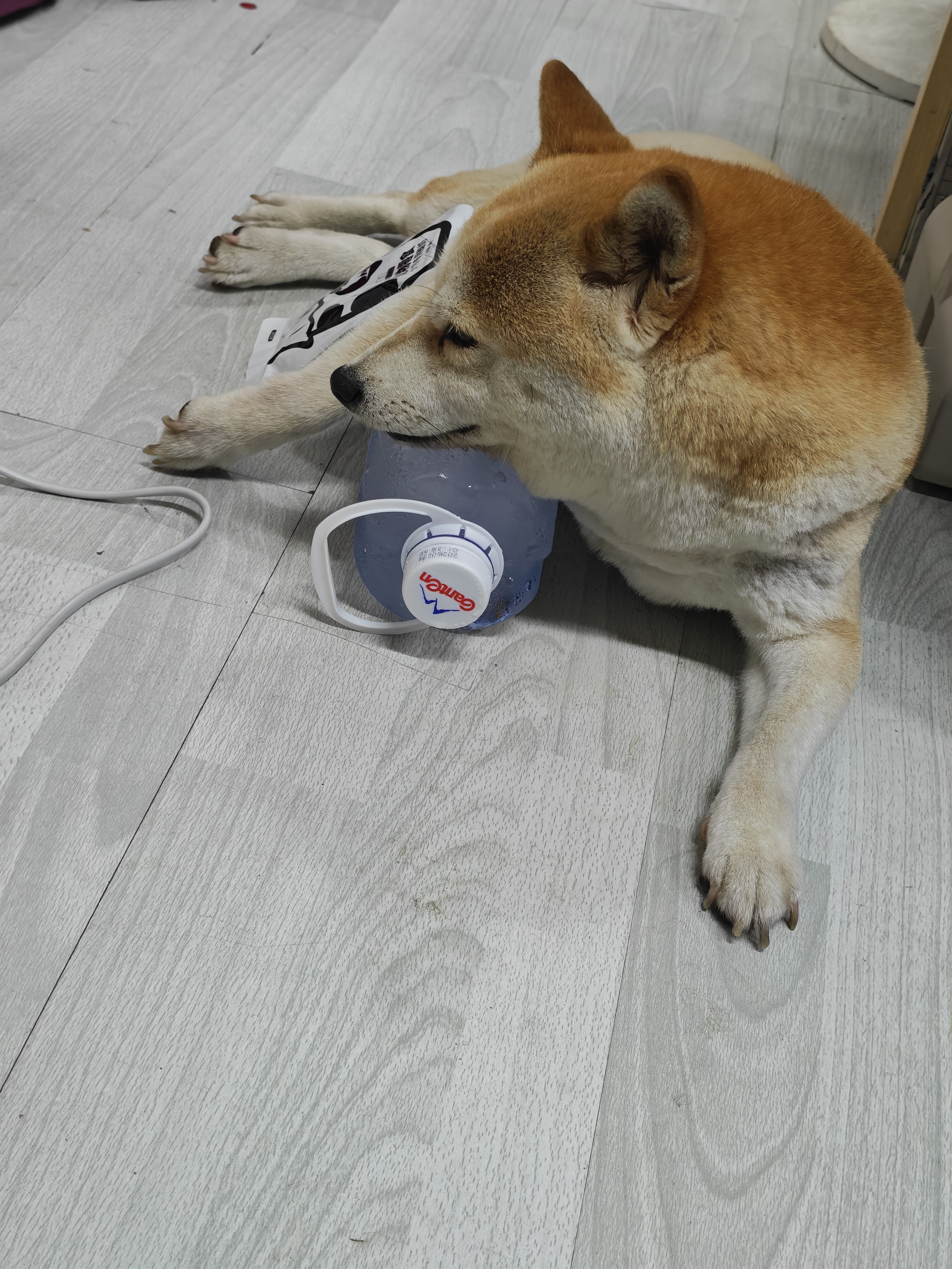 美的（Midea）【强劲冷风】空调扇强力冷气机冷风机冷风扇家用加水冰晶制冷气扇省电蒸发加湿降温水冷扇AAI10YF 实拍图