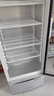 澳柯玛（AUCMA）展示柜冷藏保鲜柜单门立式饮料柜商用冰箱冷柜啤酒柜超市冰柜冷饮陈列柜大容量 329升白色丨风冷除霜丨1级能效 329SNEB 实拍图