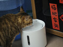 小佩宠物智能饮水机SOLO 2象牙白 猫咪饮水机狗狗喝水猫狗碗 无线水泵 实拍图