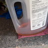 京东京造 消毒液2kg×2瓶 衣物除菌液混洗洗衣消毒水家居宠物除菌非84酒精 实拍图