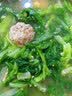 康师傅 方便面 经典香辣牛肉面五连包104g*5 泡面袋装速食 方便食品 实拍图