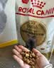 皇家猫粮 英短成猫粮 BS34 通用粮 12月以上 2KG 实拍图