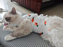 欢宠网宠物猫咪绝育服猫手术服母猫衣服断奶术后恢复猫猫小猫透气防舔衣 实拍图