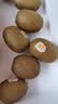 佳沛（zespri）新西兰 阳光金果25-27粒原箱特大果单果124-146g 猕猴桃水果礼盒 实拍图