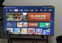 TCL雷鸟电视 50英寸雀4 京东联名款  京东OS系统 低蓝光 无开机广告 足球季专属电视 电视50F195C 实拍图