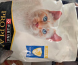 冠能猫粮室内成猫猫粮10kg 全价猫粮 添加膳食纤维 控制毛球 实拍图