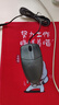 双飞燕（A4TECH）OP-520NU 大手 对称 有线鼠标 办公鼠标外设电脑鼠标有线 usb鼠标有线 鼠标usb接口 黑色 有线 实拍图