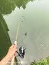 九慕屋JMW天龙座弹射微物竿溪流马口竿路亚竿UL溪流路亚竿FUJI 1.53米 直柄S502UL 实拍图