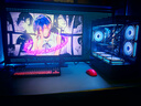 HKC 23.8英寸260Hz高刷FastIPS硬件低蓝光125%sRGB出厂校色HDR400广色域1ms电竞游戏显示器G24H3Max 实拍图