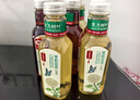 农夫山泉东方树叶菊花普洱500ml*15瓶无糖茶饮料0糖0脂0卡饮品整箱装 实拍图