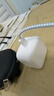 Apple/苹果 40W type-c快充充电器 苹果usb-c原装充电头 旗舰店新款苹果iPhone 17 Pro Max充电器 实拍图