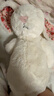 Jellycat害羞乳白色邦尼兔动物毛绒玩偶安抚玩偶娃娃送礼生日礼物 花布胭脂粉色邦尼兔（彻蕊） Medium 实拍图