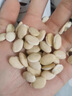 福东海 麸炒白扁豆500g 新货五谷杂粮粗粮煮粥食品炒熟非即食养生粥食材 实拍图