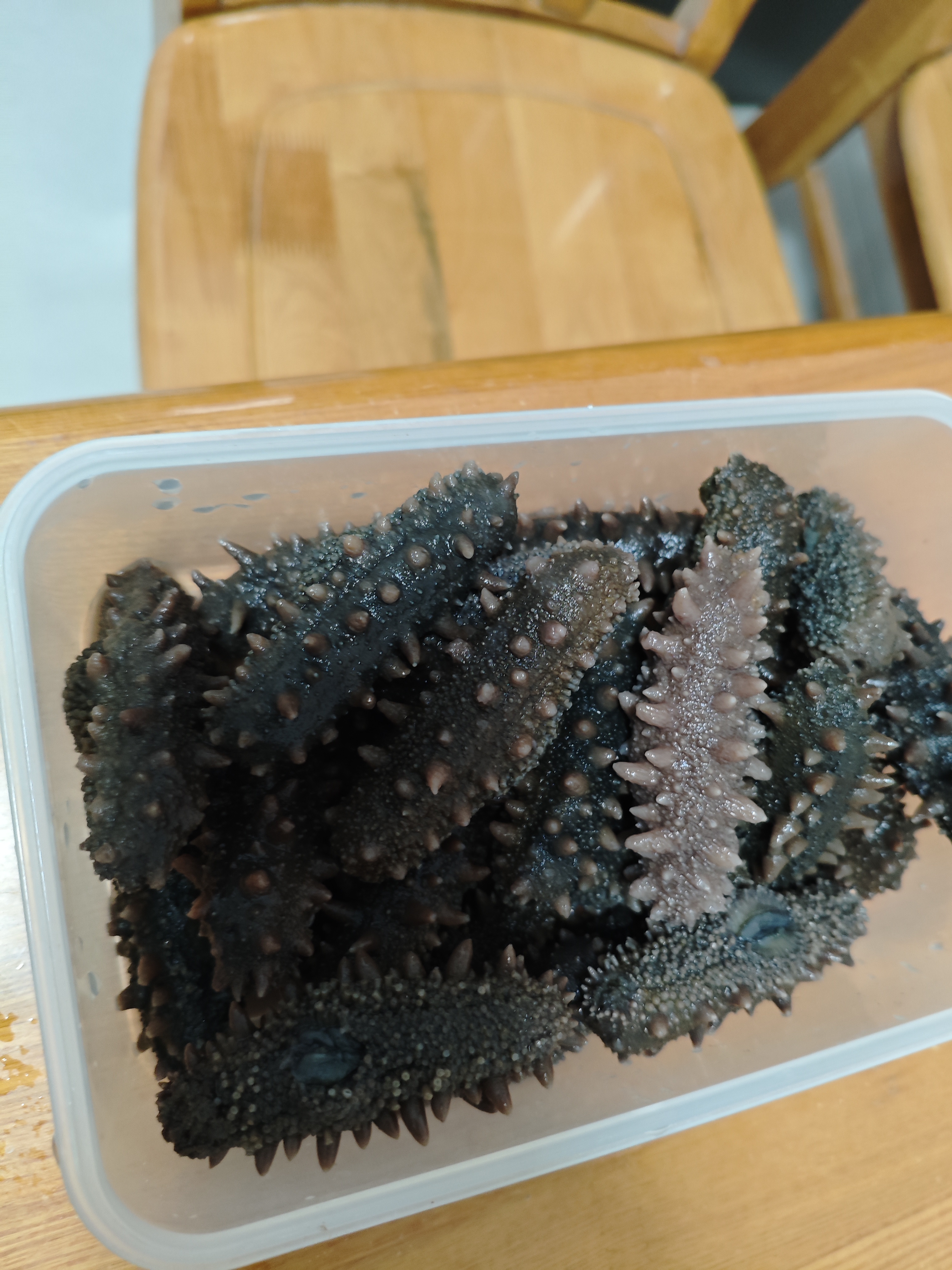 参王朝 大连底播淡干海参干货辽刺参海鲜水产礼盒 7A 实惠装9年 250g*1盒 25-35头 实拍图