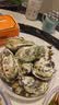 338北海青虾滑150g/袋*3袋 1A标准 烧烤火锅丸子麻辣烫关东煮食材 实拍图
