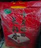 十月稻田 长粒香大米 10斤（东北大米 香米 5kg/公斤） 实拍图