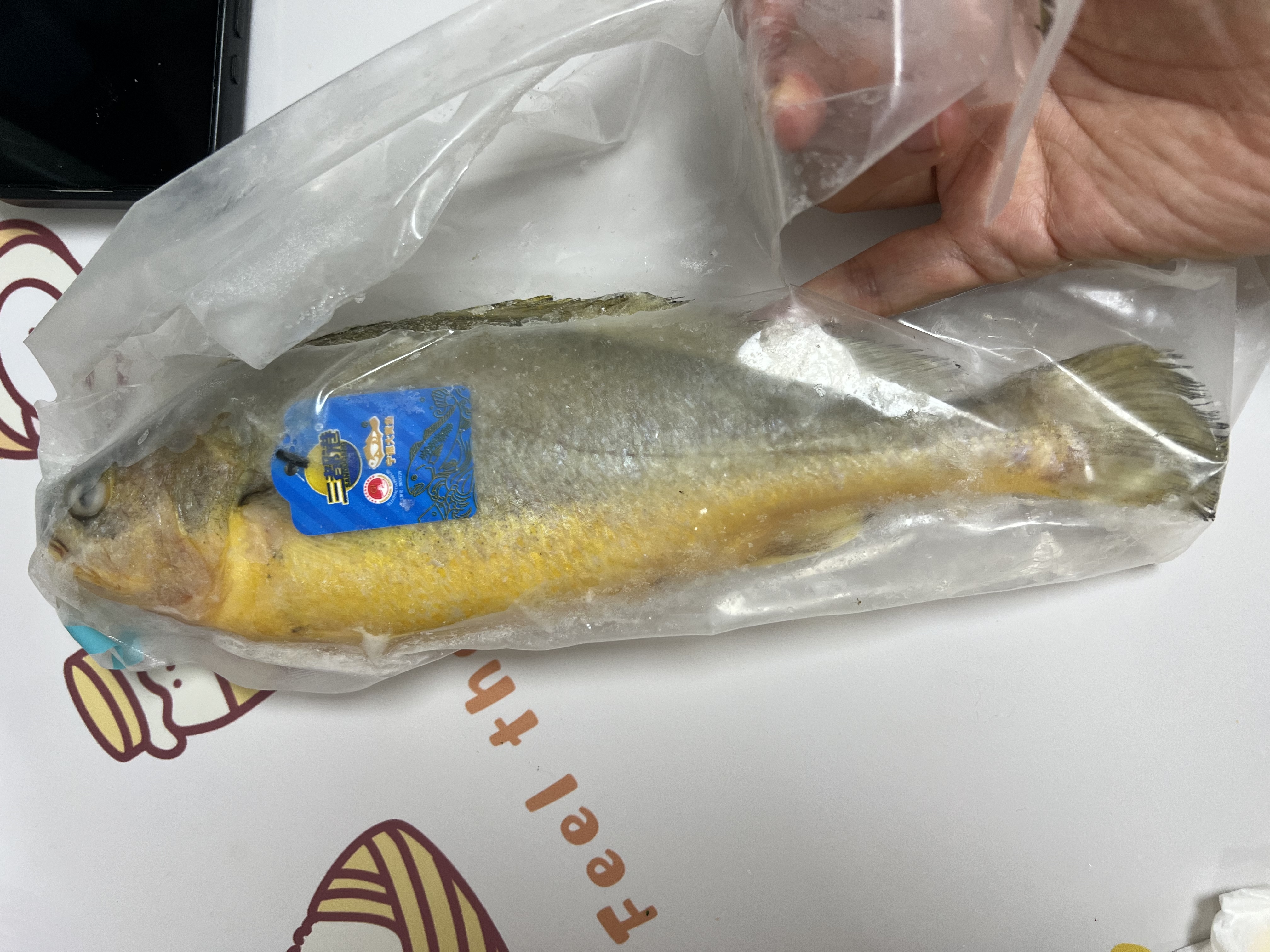 三都港 冷冻黄花鱼净重600g/2条装 宁德大黄鱼 海鱼 生鲜鱼类 海鲜水产 实拍图