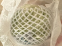小汤山 圆白菜 500g 基地直供新鲜蔬菜GAP认证 实拍图