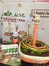 COOKSS拔萝卜套圈玩具6月以上婴儿可啃咬1-2岁宝宝精细动作训练颜色认知 实拍图
