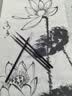 石獾狼毫紫毫勾线笔套装 书法国画工笔画描边瘦金体毛笔文房四宝 4支勾线笔套装 晒单实拍图