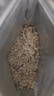 十月稻田 即食燕麦片 500g 早餐速食即食  膳食纤维 营养无添加蔗糖 轻食 实拍图