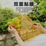 离草彩色卡纸 透明玻璃纸 10色启蒙教具 安全环保材质 彩色玻璃纸 幼儿园手工材料 10色装 实拍图
