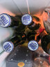 崂山啤酒（laoshan beer）精品经典 316ml*24瓶 青岛崂山啤酒 传统工艺酿造 啤酒整箱 316mL 24瓶 整箱装 实拍图