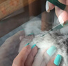 普安特宠物猫咪驱虫药驱虫体内外同驱跳蚤犬虱非泼罗尼滴剂爱滴克 实拍图